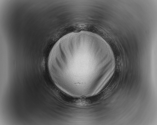 X0000093410562200711091401