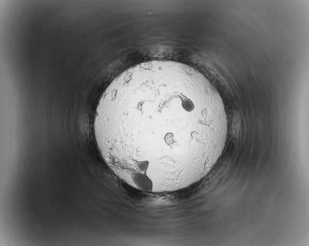 X0000093410569200711091401