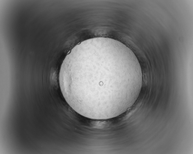 X0000093410575200711091401