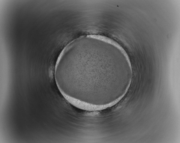 X0000093410576200711091401