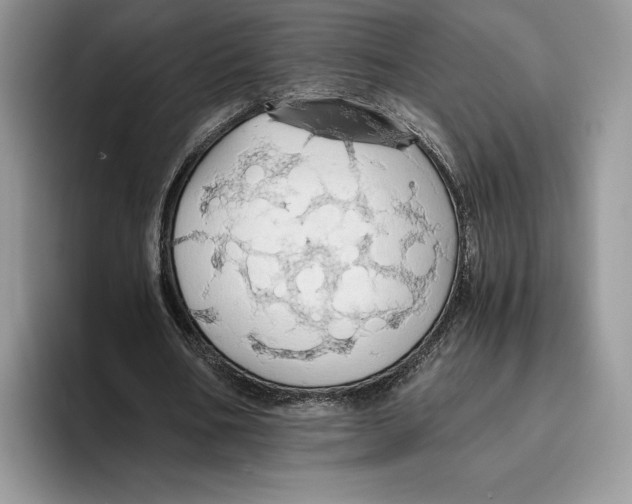 X0000093410578200711091401