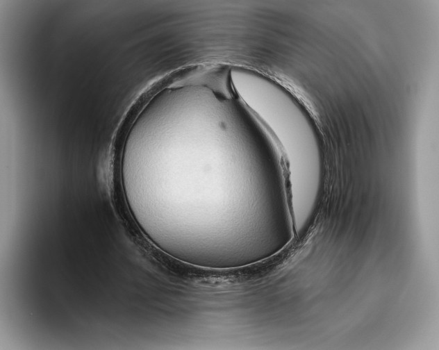 X0000093410580200711091401