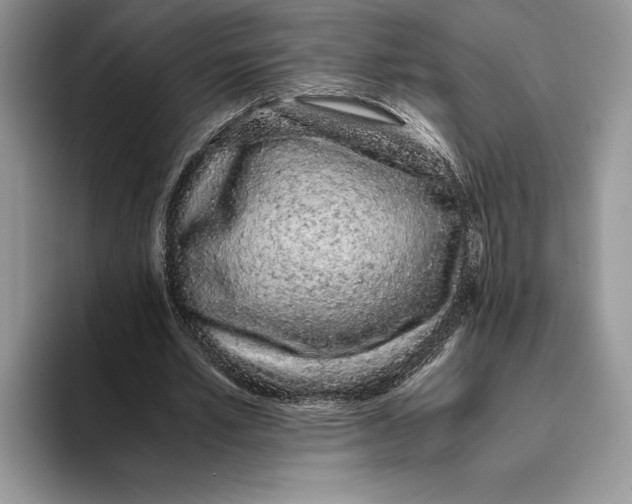 X0000093410581200711091401