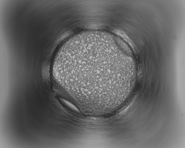 X0000093410585200711091401