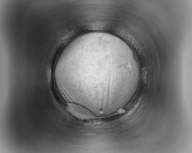 X0000093410589200711091400