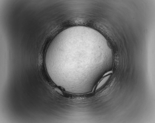 X0000093410593200711091400