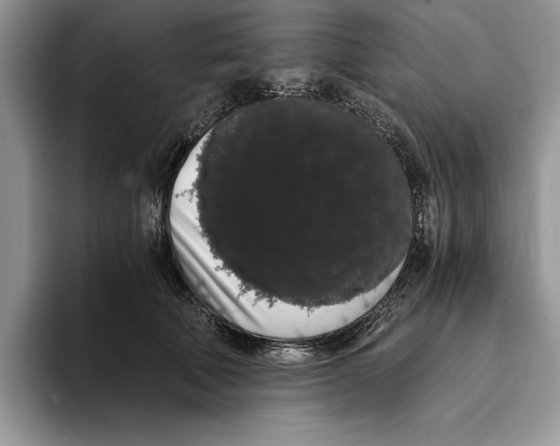 X0000093410610200711091400