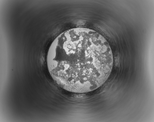 X0000093410618200711091400