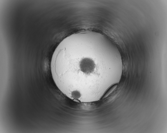 X0000093410623200711091400