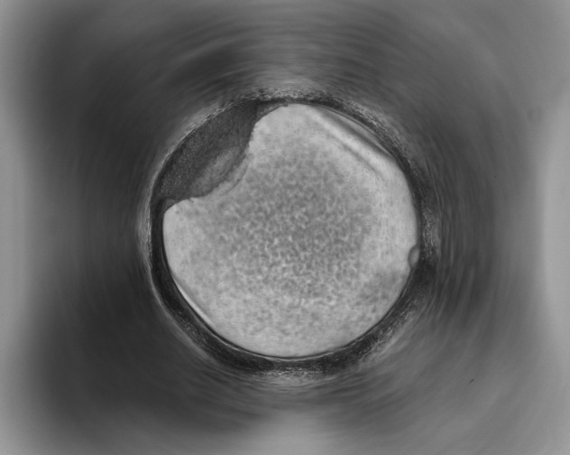 X0000093410630200711091400