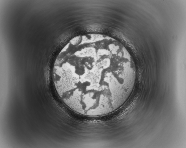 X0000093410637200711091400