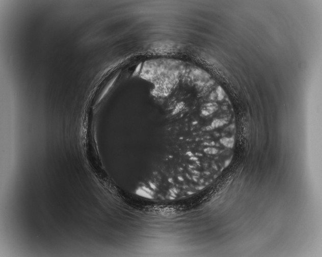 X0000093410640200711091400