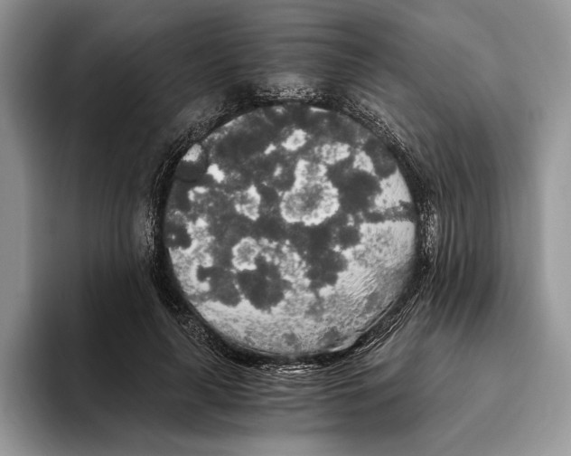 X0000093410643200711091400