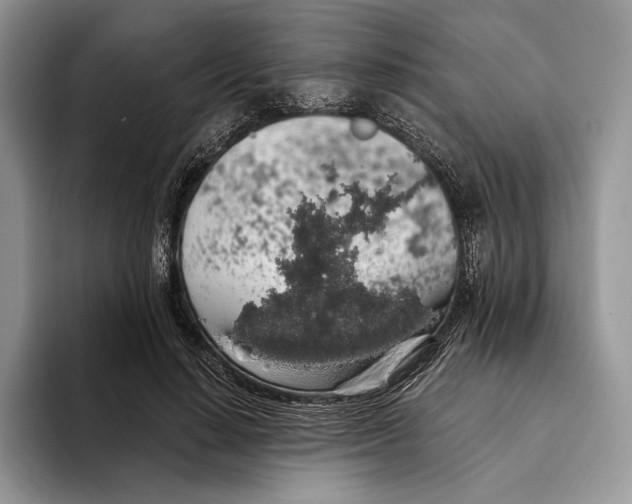 X0000093410644200711091400