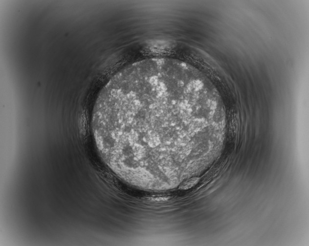 X0000093410651200711091400