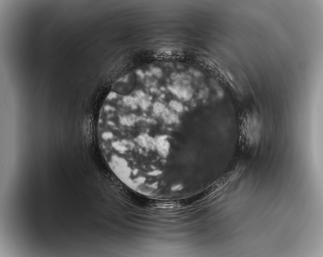 X0000093410659200711091400