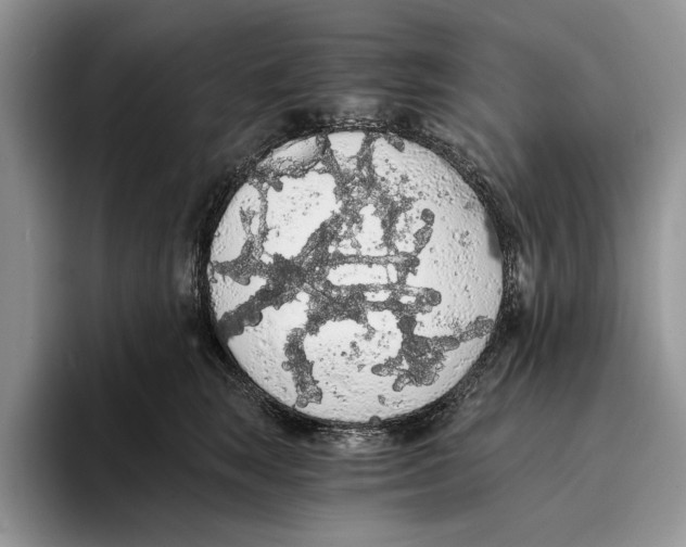 X0000093410663200711091400