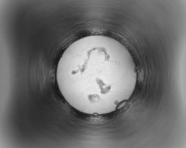 X0000093410666200711091400