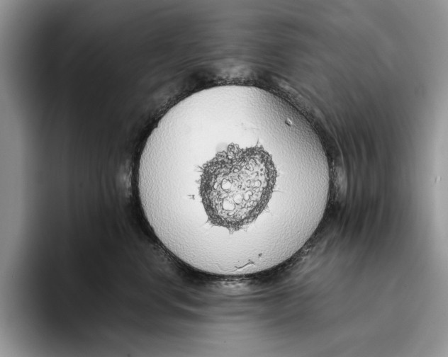 X0000093410668200711091400