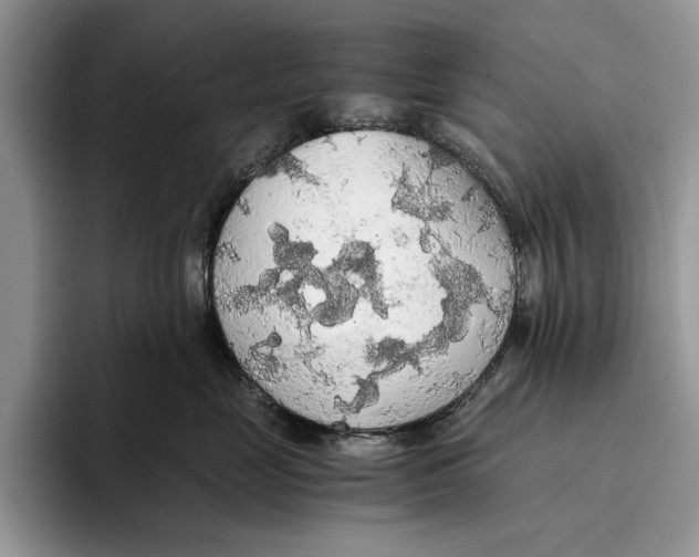 X0000093410669200711091400