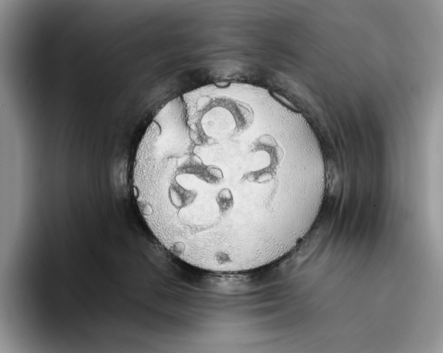 X0000093410670200711091400