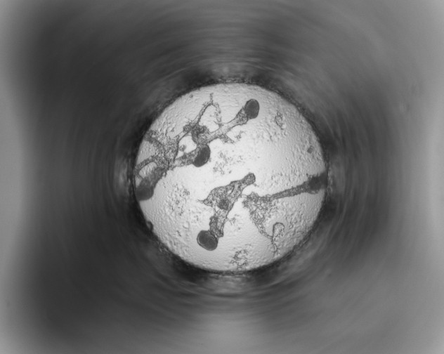 X0000093410671200711091400