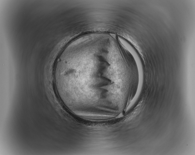 X0000093410673200711091400