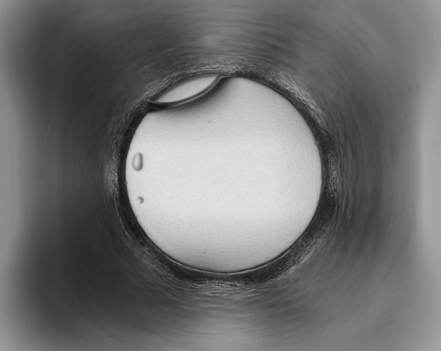 X0000093410681200711091359