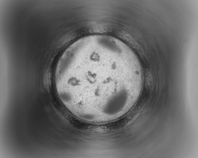 X0000093410683200711091359