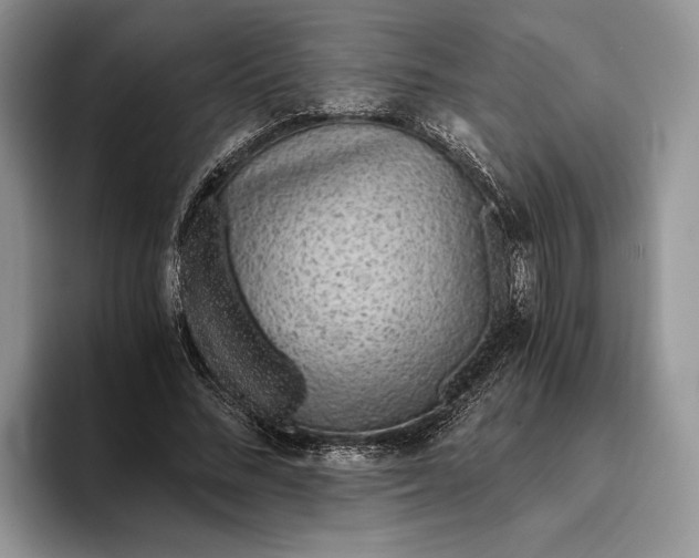 X0000093410684200711091359