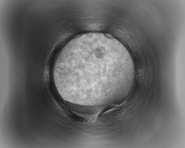 X0000093410688200711091359