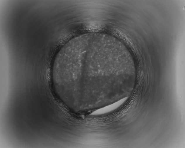 X0000093410689200711091359