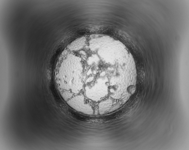 X0000093410691200711091359