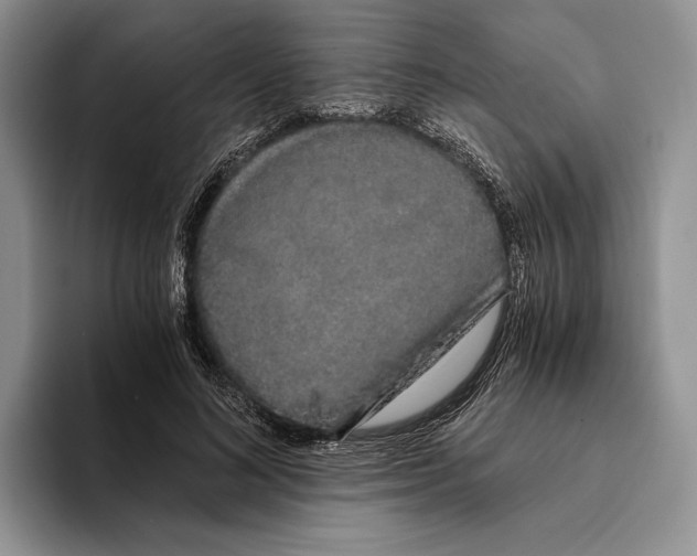 X0000093410692200711091359