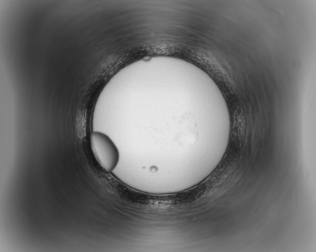 X0000093410694200711091359