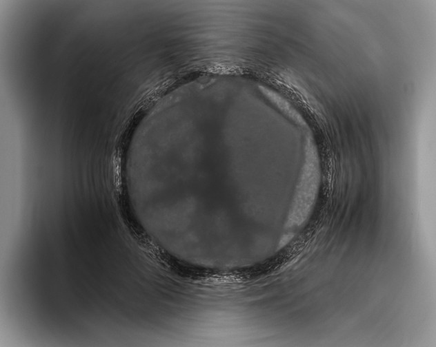 X0000093410696200711091359