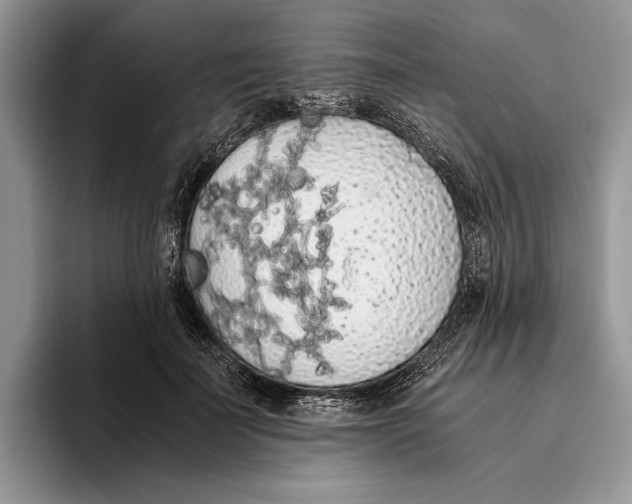 X0000093410699200711091359