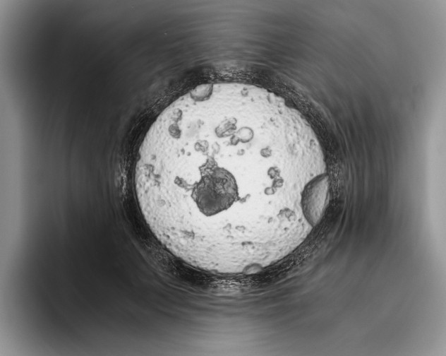 X0000093410703200711091359