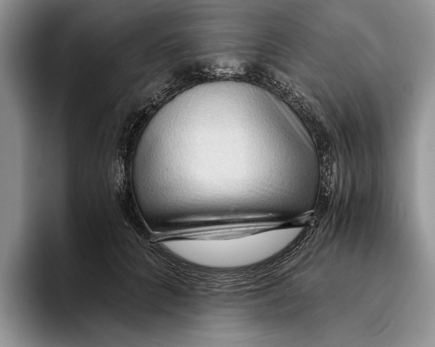 X0000093410704200711091359