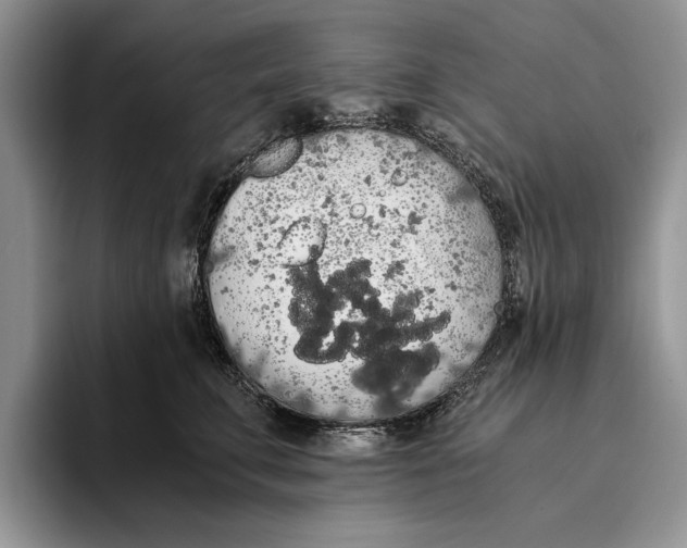 X0000093410711200711091359