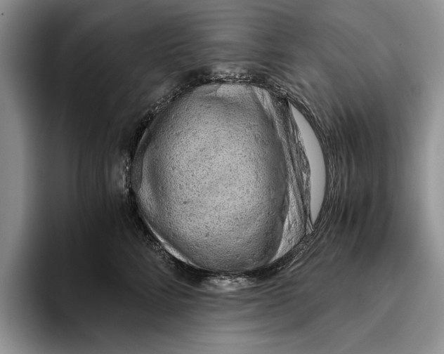 X0000093410712200711091359