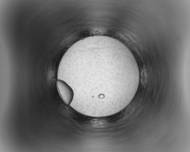 X0000093410714200711091359