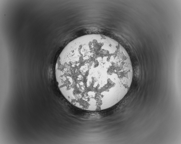 X0000093410715200711091359