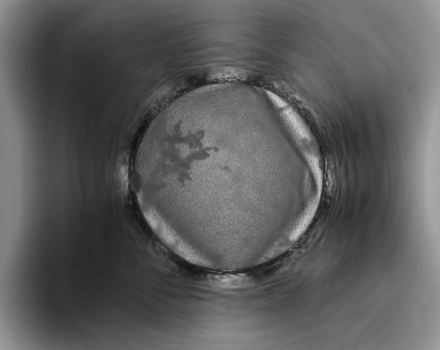 X0000093410716200711091359