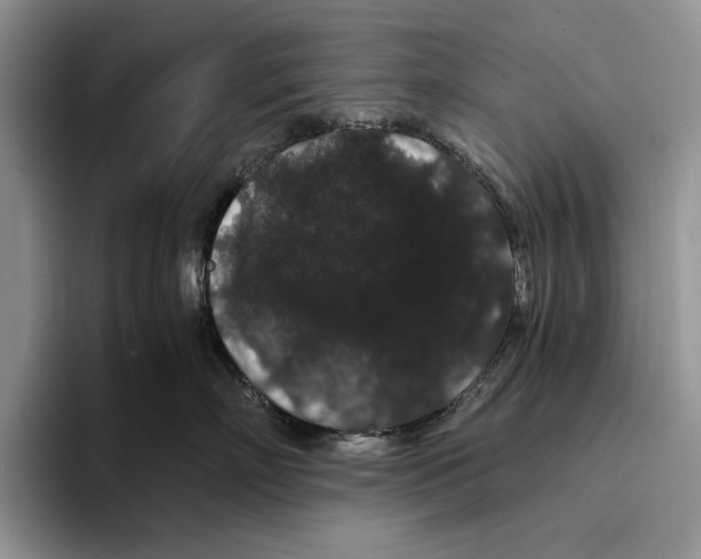 X0000093410718200711091359