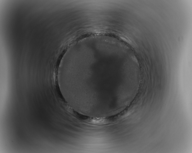 X0000093410720200711091359