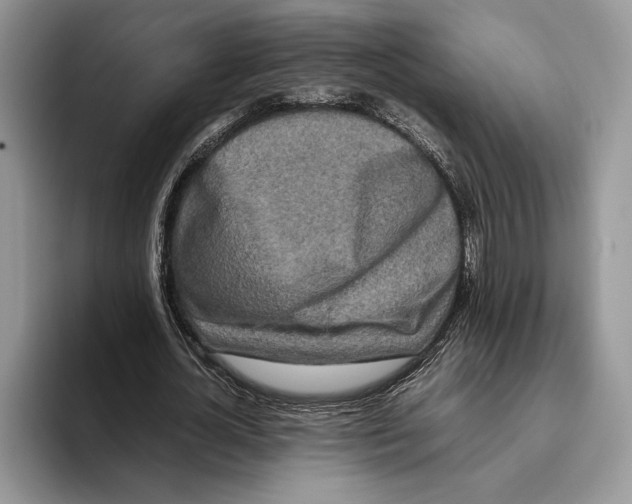 X0000093410724200711091358