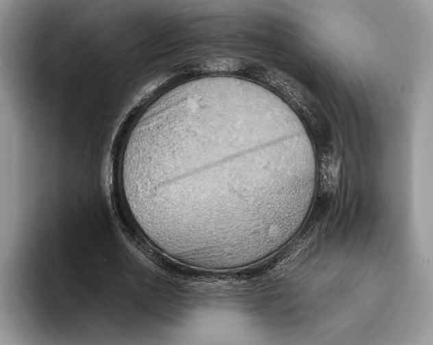 X0000093410726200711091358