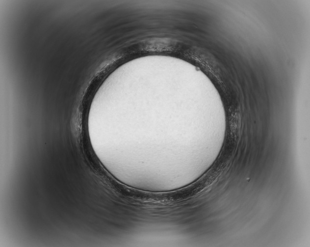 X0000093410727200711091358