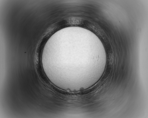 X0000093410731200711091359